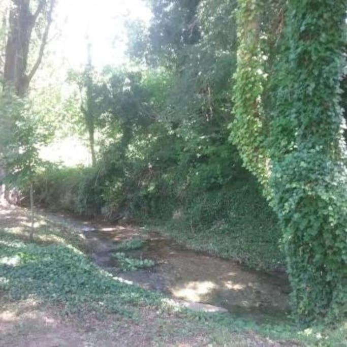 Casa Rural Barangua En El Pirineo Aragones Santa Cruz de la Serós Dış mekan fotoğraf