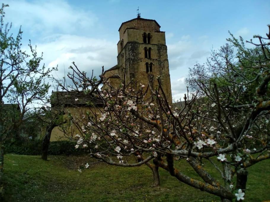 Casa Rural Barangua En El Pirineo Aragones Santa Cruz de la Serós Dış mekan fotoğraf