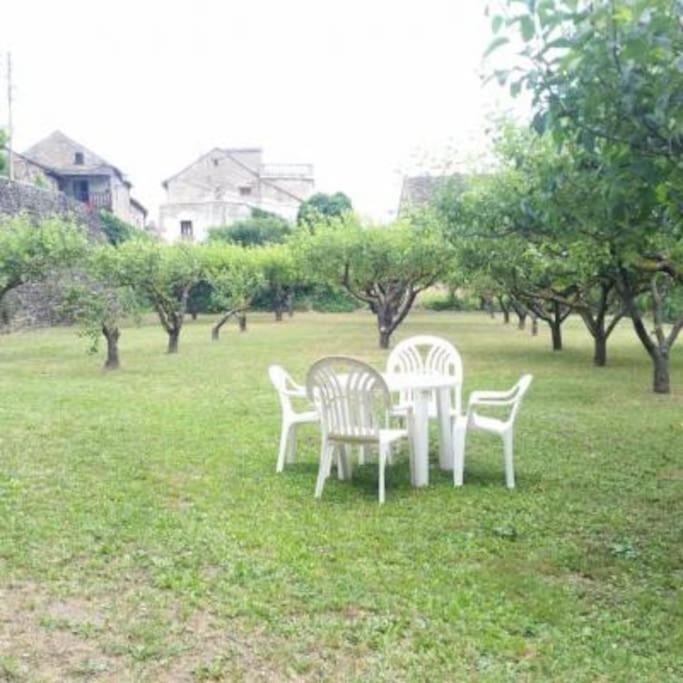 Casa Rural Barangua En El Pirineo Aragones Santa Cruz de la Serós Dış mekan fotoğraf